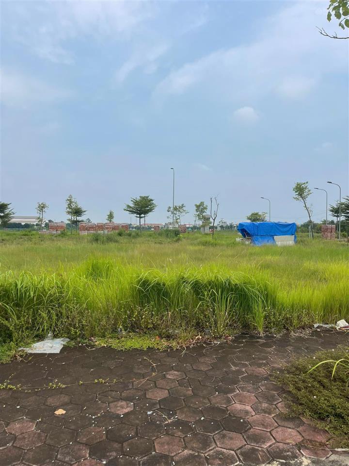 Chính chủ cần bán gấp 100m2 tại đấu giá bạch đa, đẹp không tì vết, giảm sâu cho ai thiện chí