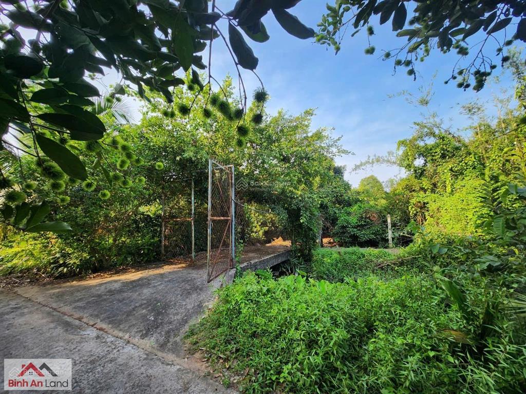 Đôi khi, thứ mình cần không phải là một nơi thật xa, mà một nơi đủ tĩnh để quay về với chính mình.