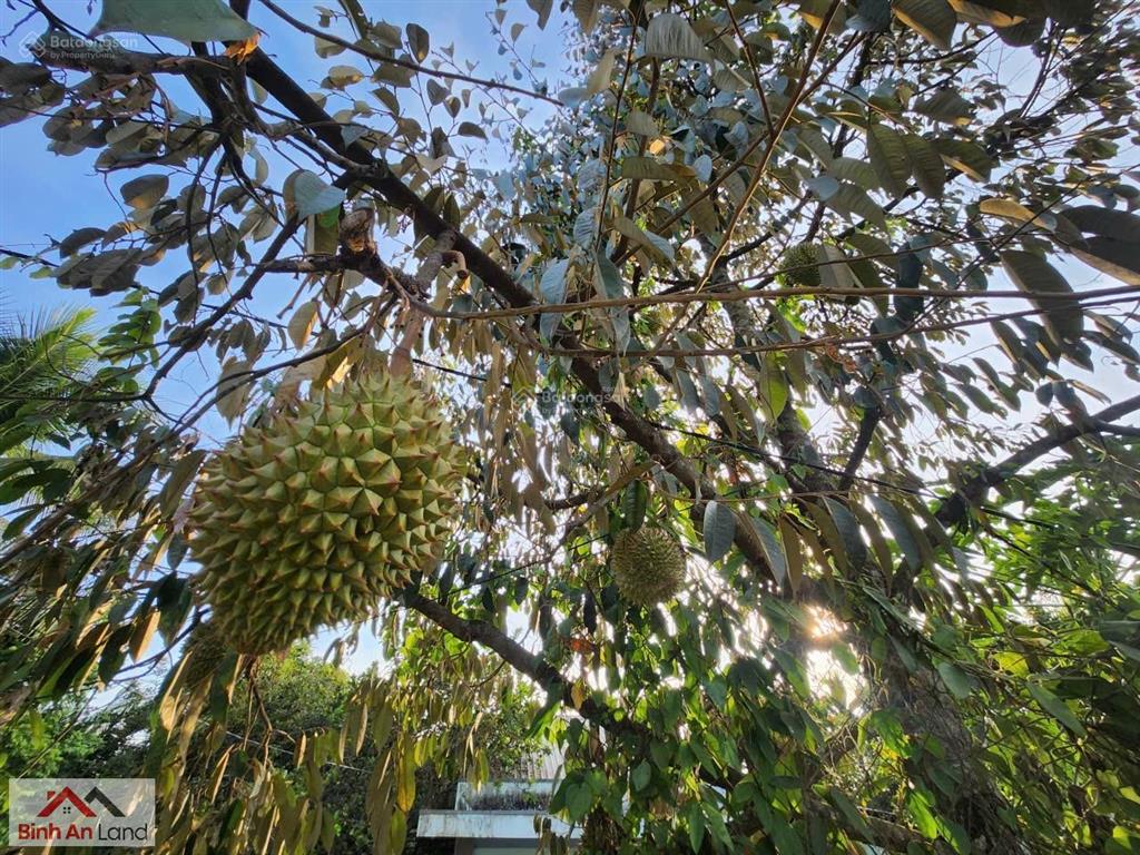 Đôi khi, thứ mình cần không phải là một nơi thật xa, mà một nơi đủ tĩnh để quay về với chính mình.