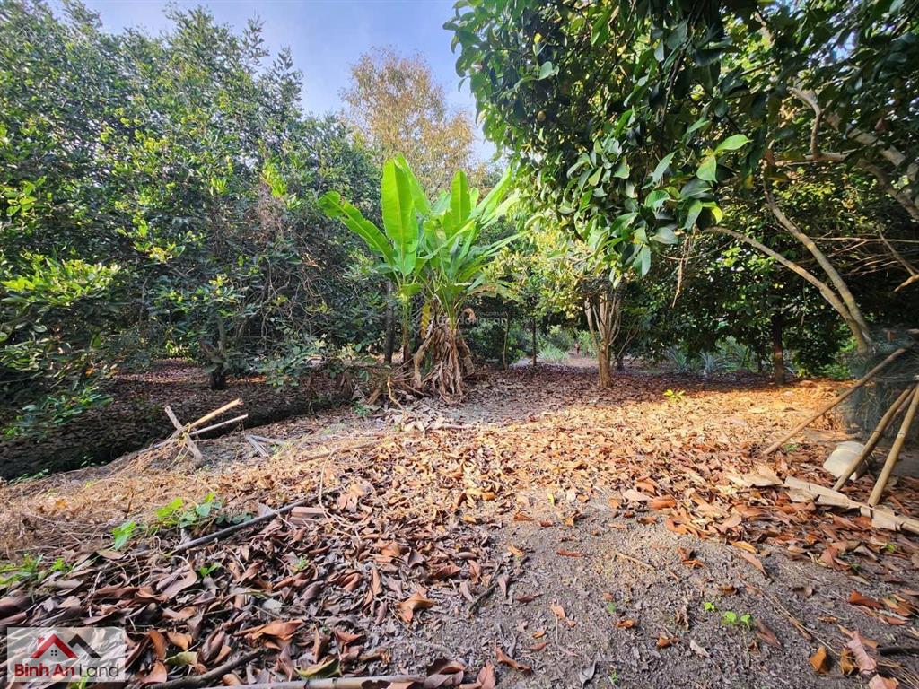 Đôi khi, thứ mình cần không phải là một nơi thật xa, mà một nơi đủ tĩnh để quay về với chính mình.