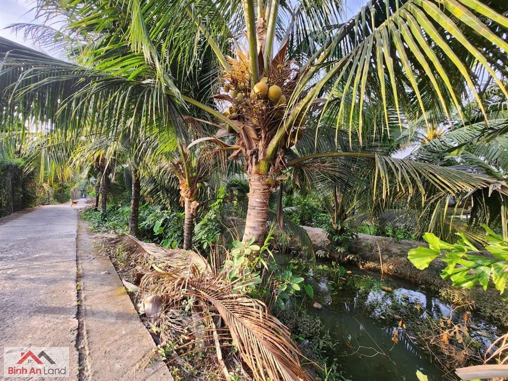 Đôi khi, thứ mình cần không phải là một nơi thật xa, mà một nơi đủ tĩnh để quay về với chính mình.