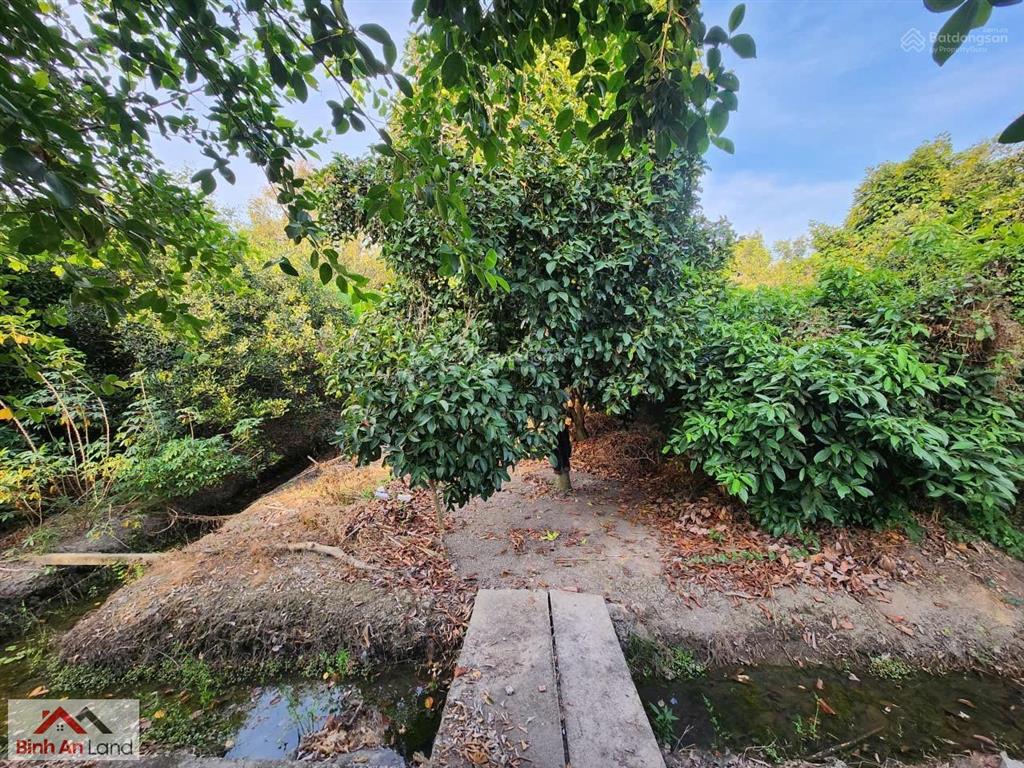 Đôi khi, thứ mình cần không phải là một nơi thật xa, mà một nơi đủ tĩnh để quay về với chính mình.