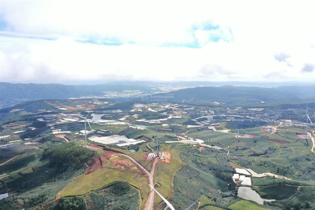 Bán đất đồi chè cầu đất  view săn mây  đường 7m điện gió