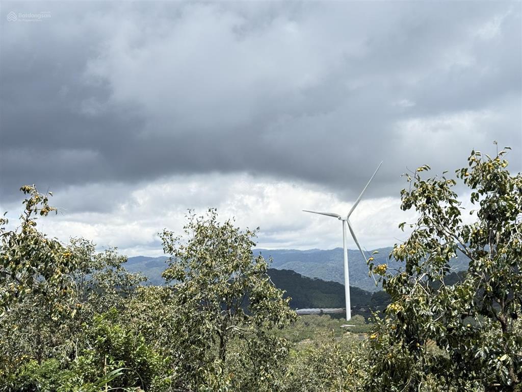 Bán đất đồi chè cầu đất  view săn mây  đường 7m điện gió