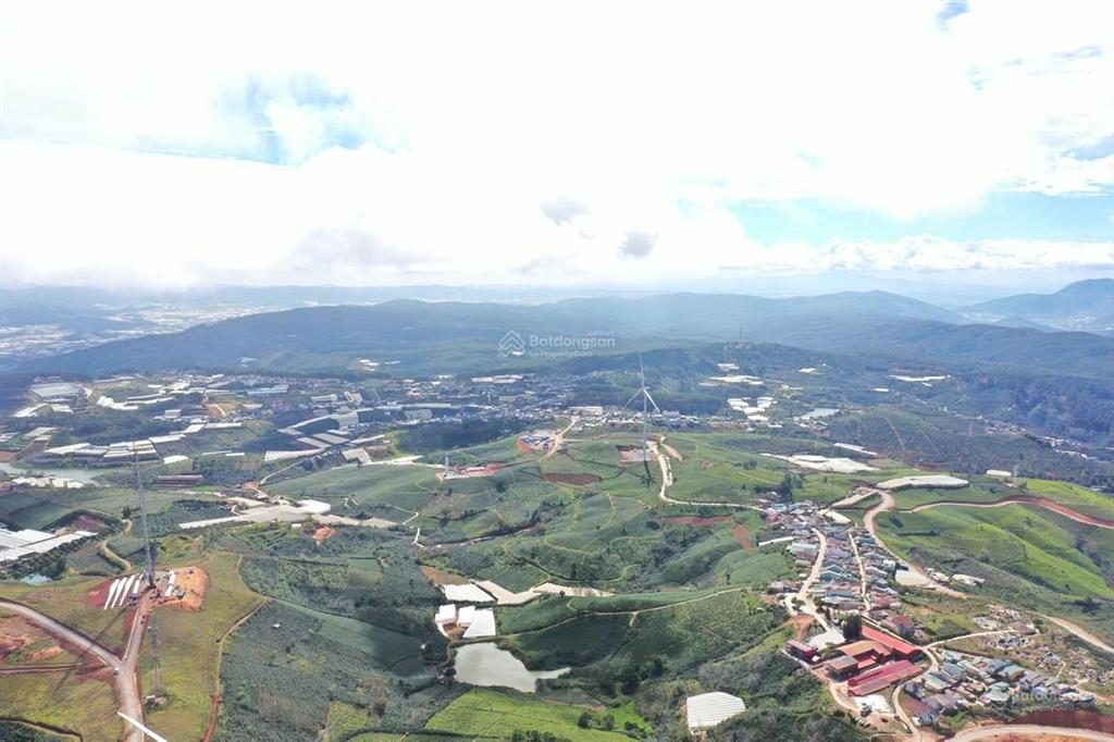 Bán đất đồi chè cầu đất  view săn mây  đường 7m điện gió
