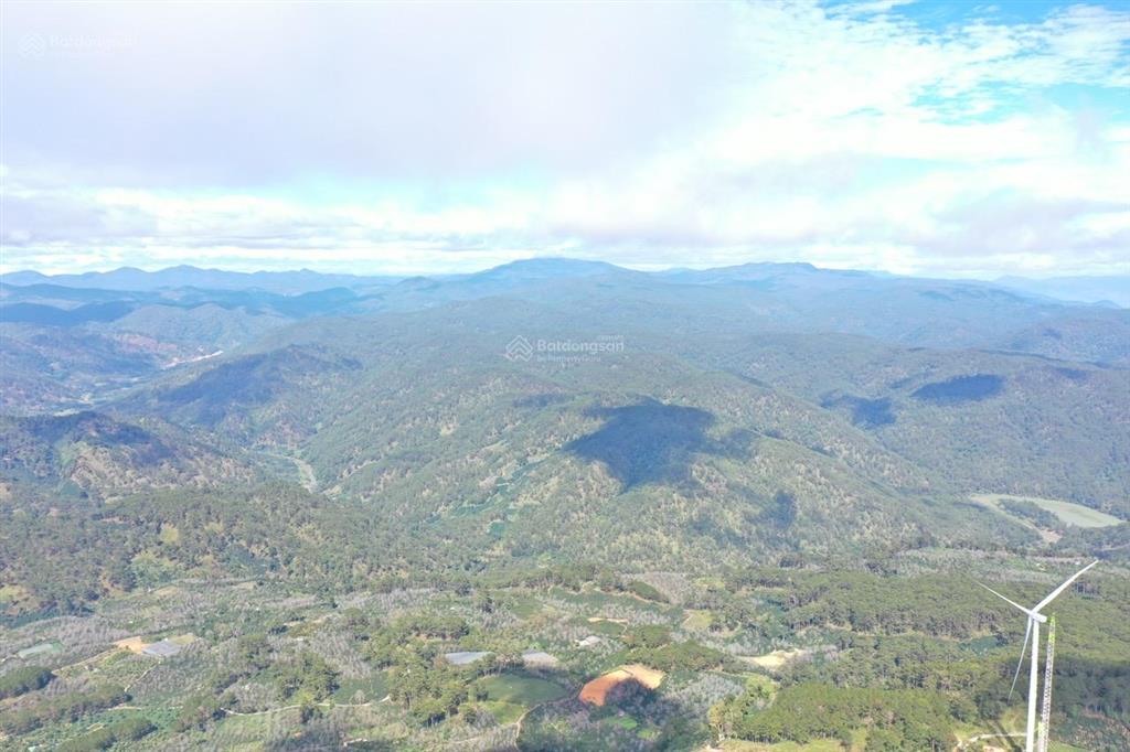 Bán đất đồi chè cầu đất  view săn mây  đường 7m điện gió