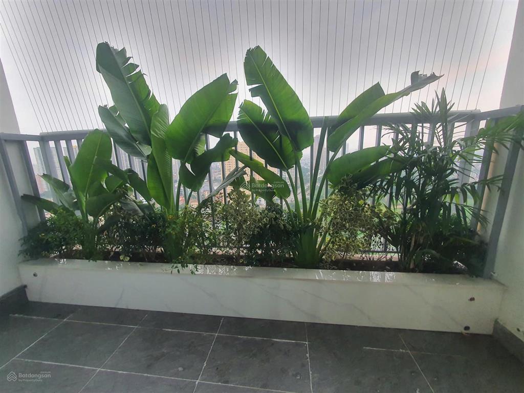 Giá thật bán căn góc 3 ngủ đẹp ecolife tố hữu