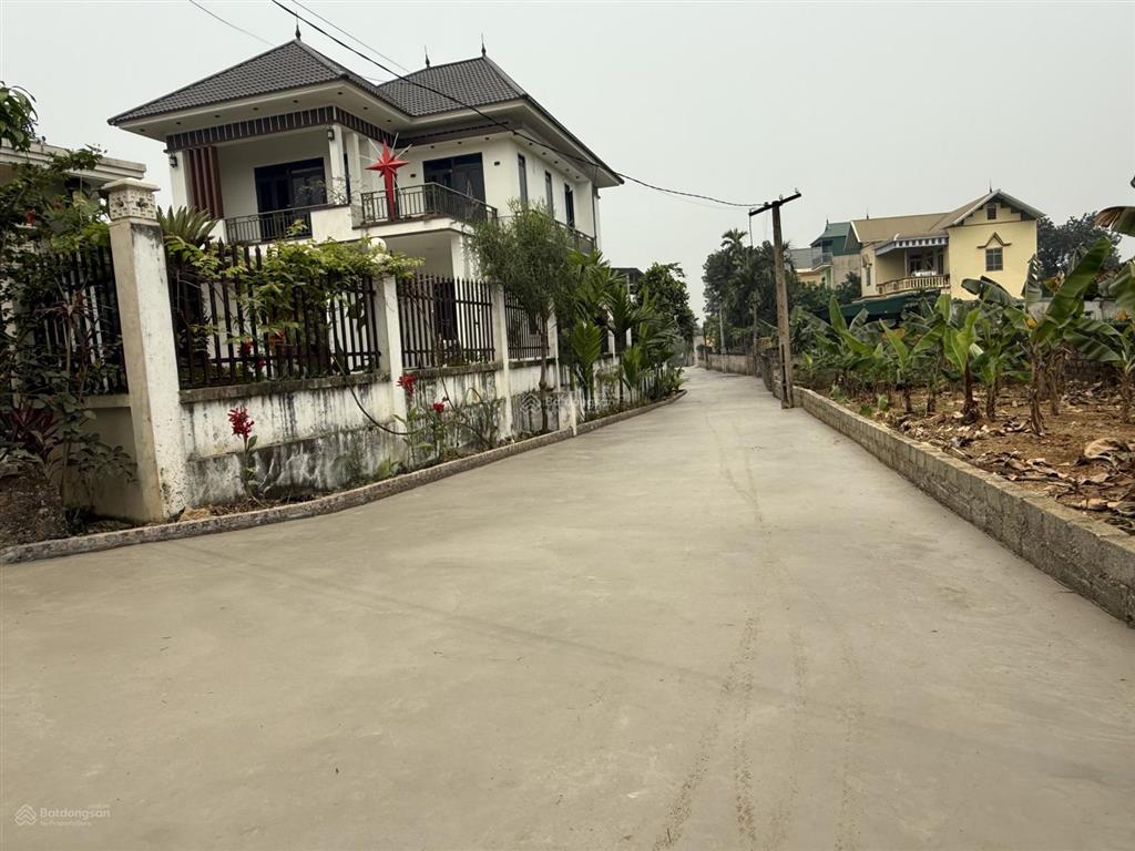 Gò cáo f0 hàng siêu đẹp giá cực mềm