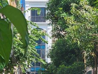 Cho thuê nhà phố 55 m2, 7 tầng + 1 hầm, phố mạc thái tổ, cầu giấy