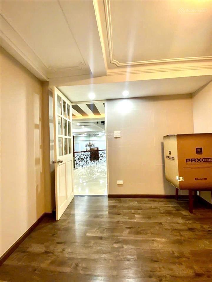 Quận 1 bán nhà 5 tầng phong cách biệt thự tân cổ điển đặng dung, p. tân định ngang lớn 11m*9m đẹp