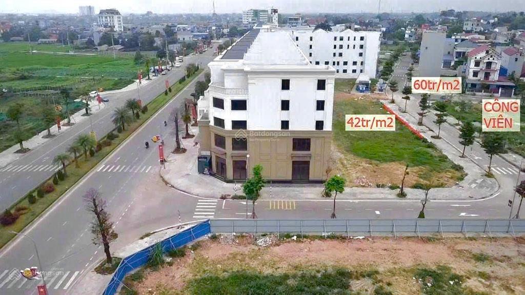 Cắt lỗ thật lô fecon khu tái định cư quảng trường