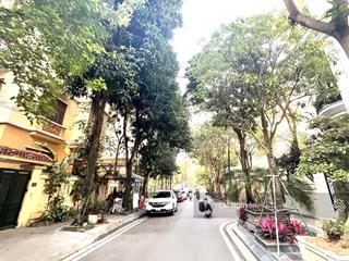 Biệt thự kđt hàm nghi mỹ đình hà nội 139m2 lô góc hiếm có 3 thoáng vĩnh viễn 43,9 tỷ.