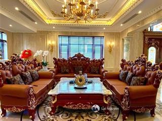 Bán biệt thự đẹp mỹ đình nguyễn cơ thạch hàm nghi vip, 125m2, biệt thự hiếm, bán gấp 47,5 tỷ.