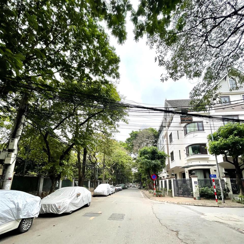 Bán biệt thự phân lô huy du mỹ đình nam từ liêm 138m2, lô góc 3 thoáng vĩnh viễn, giá 44 tỷ