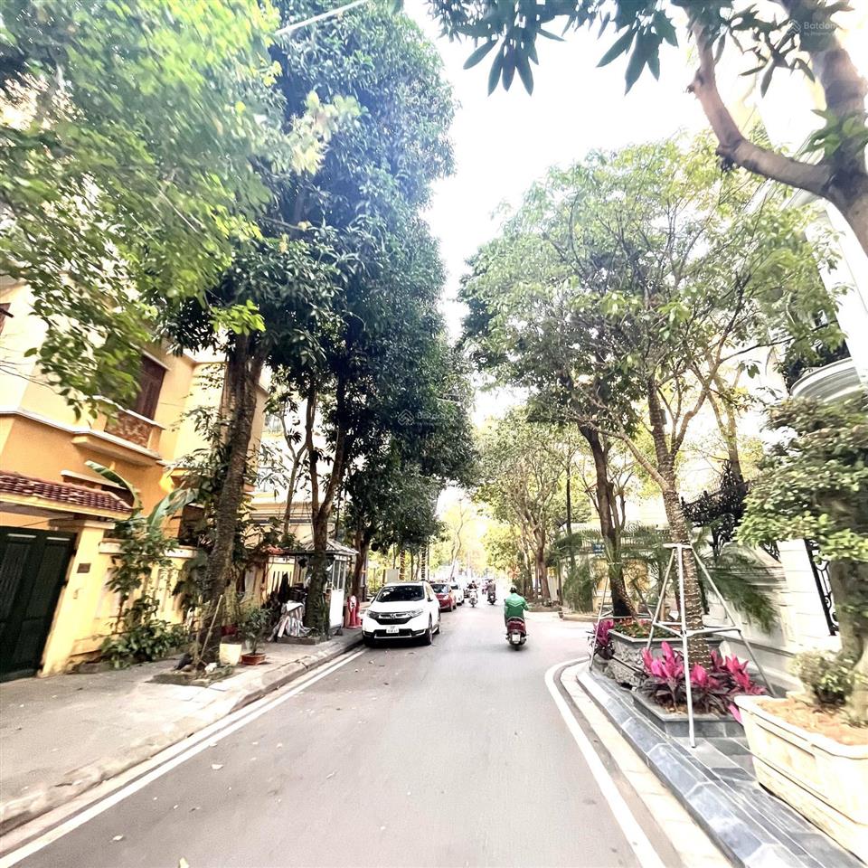 Hàng hiếm mỹ đình 1 biệt thự 100m2 chỉ 39,8 tỷ không có căn thứ 2 nguyễn cơ thạch, mỹ đình, hà nội.