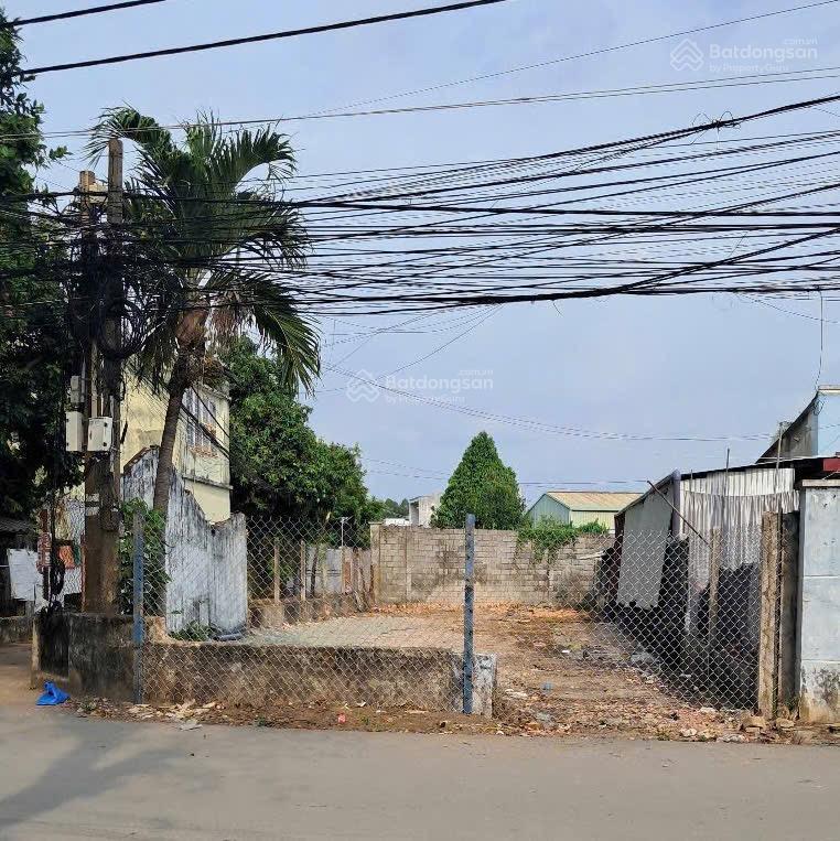 Đầu tư là lời  sở hữu ngay 3 lô đất vàng tại p. hiệp hòa, biên hòa!