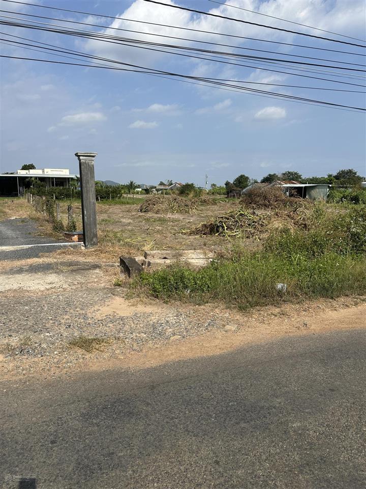 Bán đất 1519m2 tại 110 dân thuận, hàm thạnh, hàm thuận nam, 1,2tỷ