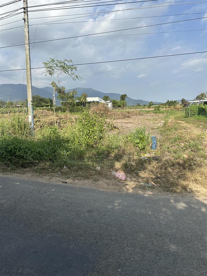 Bán đất 1519m2 tại 110 dân thuận, hàm thạnh, hàm thuận nam, 1,2tỷ