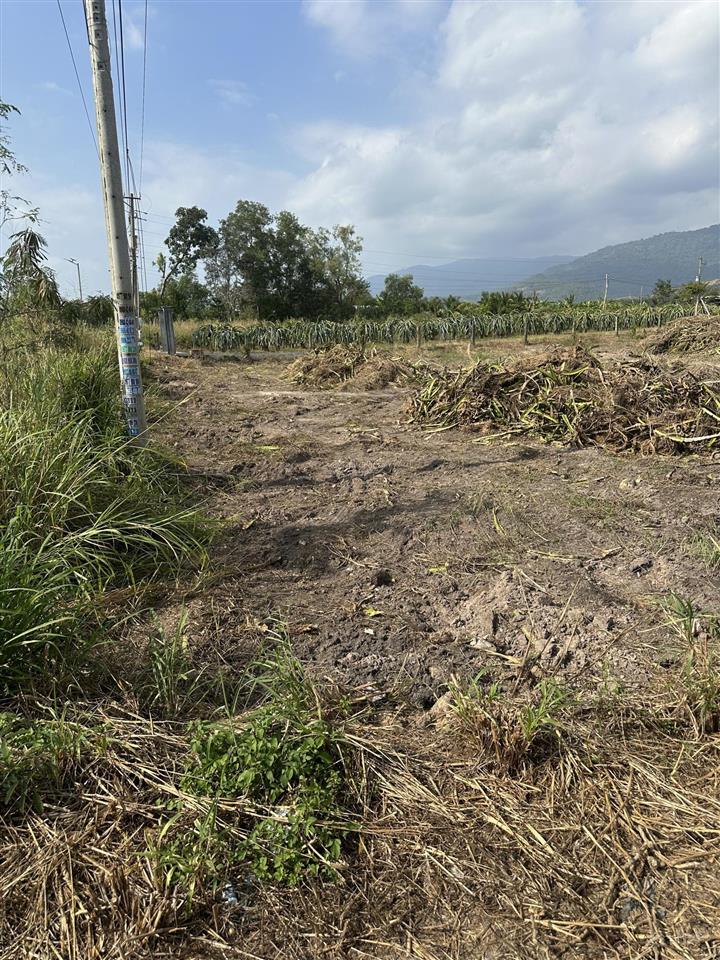 Bán đất 1519m2 tại 110 dân thuận, hàm thạnh, hàm thuận nam, 1,2tỷ