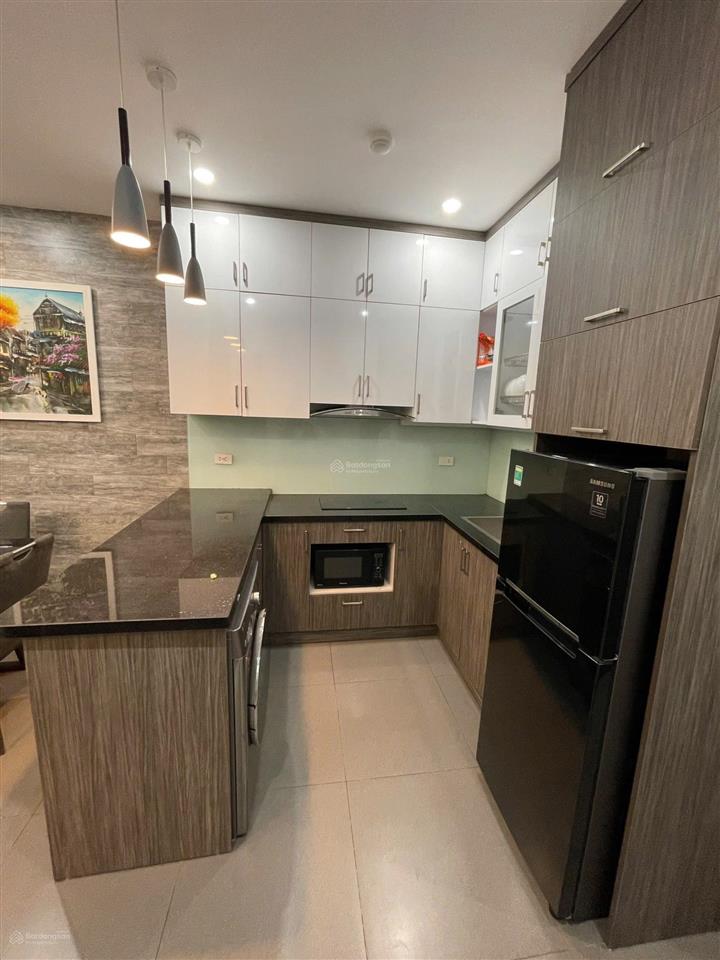 Cho thuê căn hộ 1n1k  ô tô đỗ cửa  tại phố lê thanh nghị, hai bà trưng
