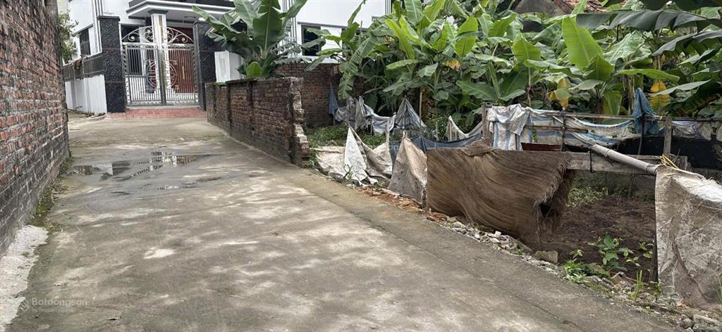 Cần bán 68m2 lô góc siêu đẹp trong đê, cách vin olympic chỉ vài trăm m