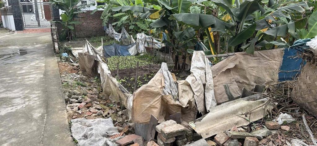 Cần bán 68m2 lô góc siêu đẹp trong đê, cách vin olympic chỉ vài trăm m