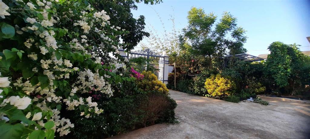 Chính chủ bán biệt thự mini view đồi p. thành nhất, tp. buôn ma thuột 6,5 tỷ