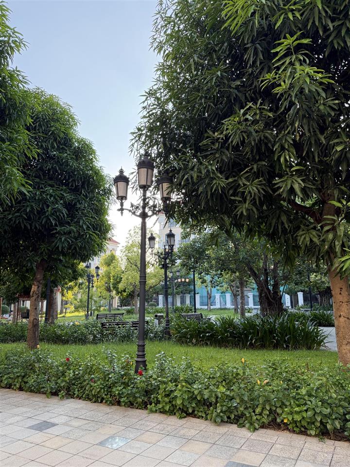 Chính chủ bán liền kề 56m2 vinhomes oceanpark 2