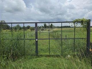 Bán đất mặt tiền đường trung lập, củ chi 184 m2. shr giá 800 triệu