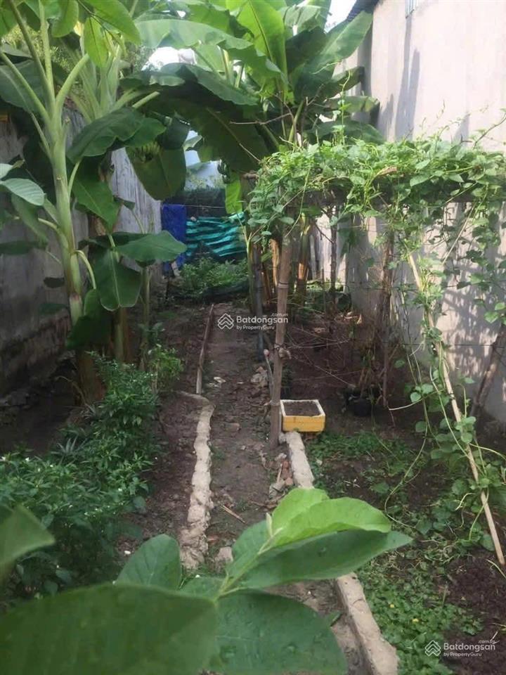 Chủ kẹt tiền cần bán gấp dãy nhà trọ đang cho thuê xã tân an hội, củ chi ,181 m2. giá 1 tỷ