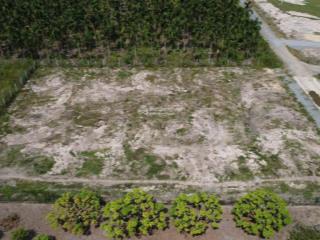 Chủ cần tiền bán gấp lô đất đường hùng vương, gò dầu, tây ninh . 1150 m2 giá 1 tỷ thương lượng