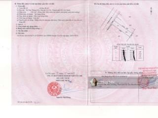 Bán gấp 129m2 đường liêu bình hương, tân thông hội, củ chi. cách ql22 400m. shr