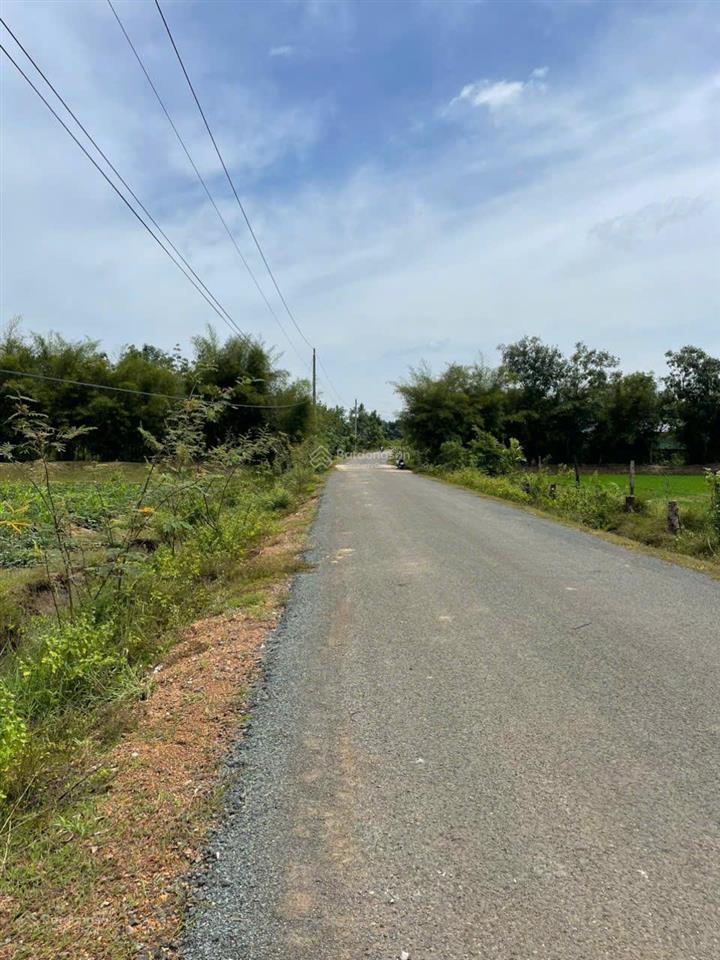 Bán đất sào giá rẻ tại lộc khánh, lộc ninh do kẹt vốn 1.378m2 mặt tiền 10m sổ hồng riêng giá tốt tl