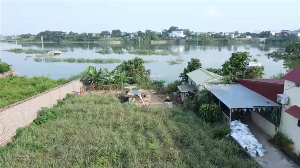 Chính chủ cần bán diện tích 590m2 (100m2 thổ cư)