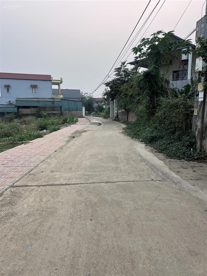 Chính chủ cần bán diện tích 590m2 (100m2 thổ cư)