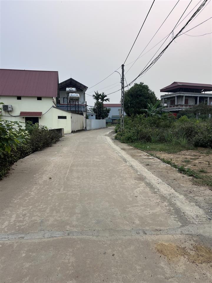 Chính chủ cần bán diện tích 590m2 (100m2 thổ cư)