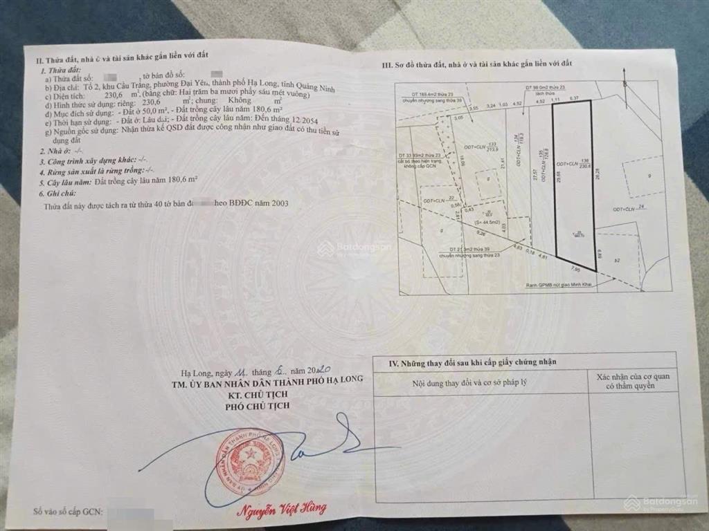 Hàng hiếm tại ga cao tốc đường sắt, đối diện hạ long xanh