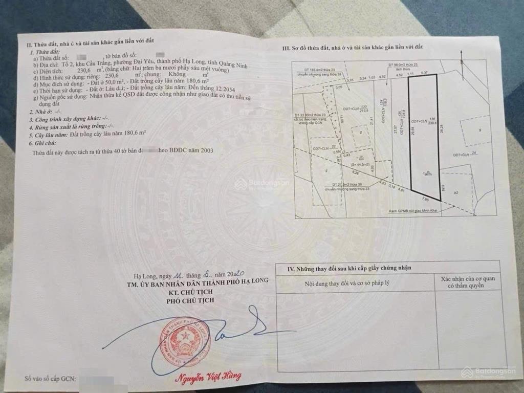 Hàng hiếm mặt đường quốc lộ đón đầu ga cao tốc hạ long xanh