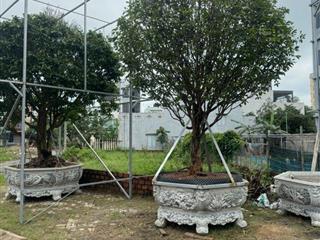 158m2/15 tỷ.Đất 2 M tiền, đường Thủy Sơn 5 và Thủy Sơn 6.Sát bãi tắm Sơn Thủy