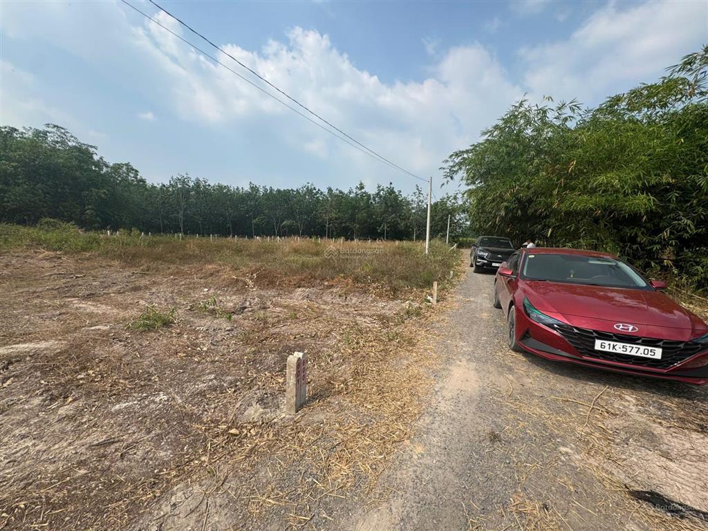 Bán đất truông mít, dương minh châu, tây ninh 165m², giá chỉ 335 triệu