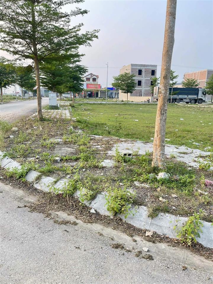 Bán cặp đầu ve nam cống chéo  triệu sơn  thanh hóa