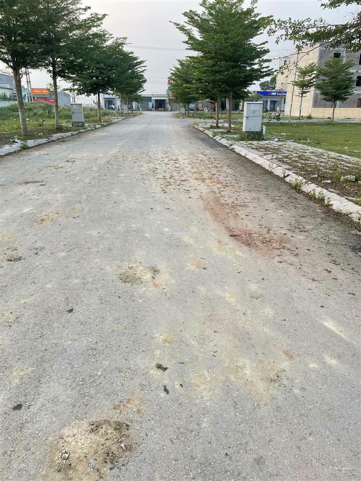 Bán cặp đầu ve nam cống chéo  triệu sơn  thanh hóa