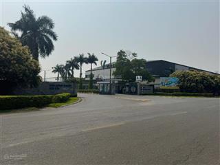 Chính chủ cần bán gấp 80m2 ninh môn xã nội bài