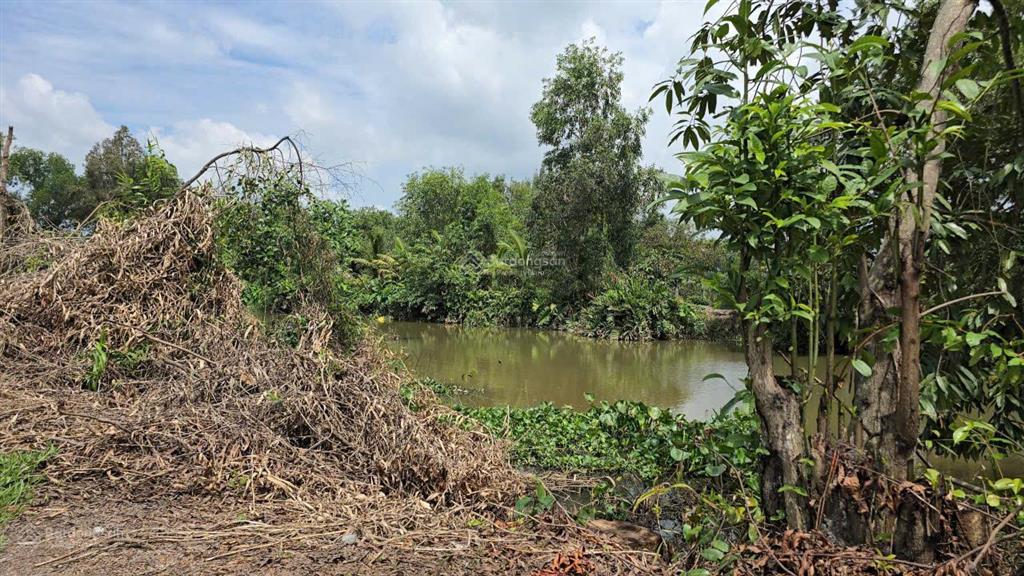 Bán đất đẹp tại đường bình mỹ, xã bình mỹ, củ chi, hồ chí minh, 10,5 triệu / m2, 929 m2