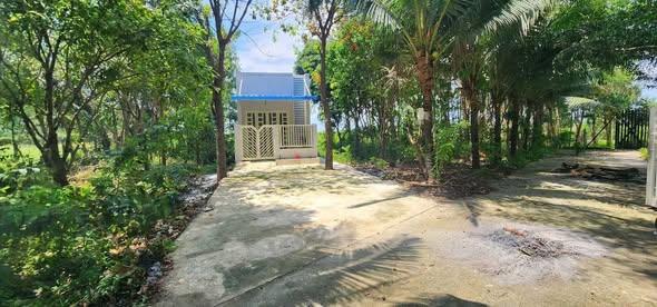 Căn nhà vườn giá cực mềm 2tỷ8 1000m2 có 300m2 thổ cư tại xã phước thạnh, tphcm