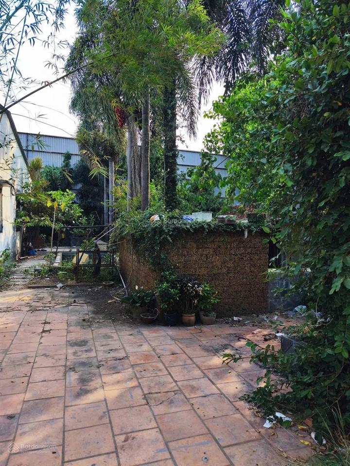 Bán đất tại sông lu, 1,45 tỷ, 101m2, pháp lý đầy đủ, mặt tiền 5m