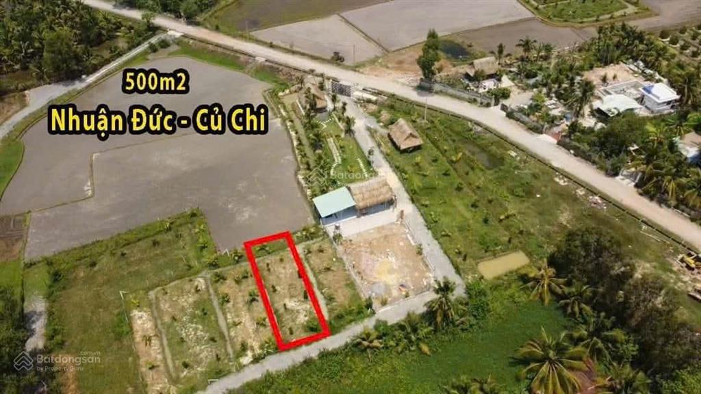 Nhờ 500 ae bán lô đất 500m² đất tại lá phổi xanh củ chi  tp. hồ chí minh giá 1 tỷ 5
