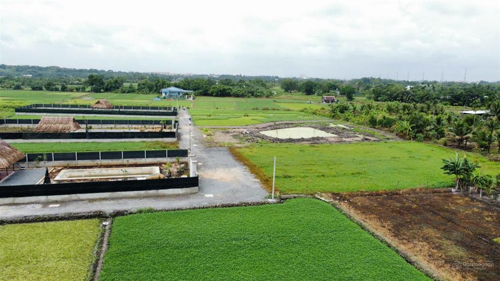 Bán nhà vườn 1000m2, 4,1 tỷ tại kênh nhà vuông, xã bình mỹ, huyện củ chi, tp.hcm