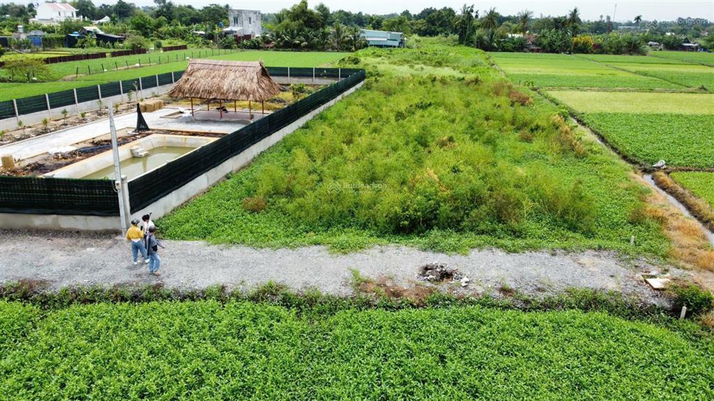Bán nhà vườn 1000m2, 4,1 tỷ tại kênh nhà vuông, xã bình mỹ, huyện củ chi, tp.hcm