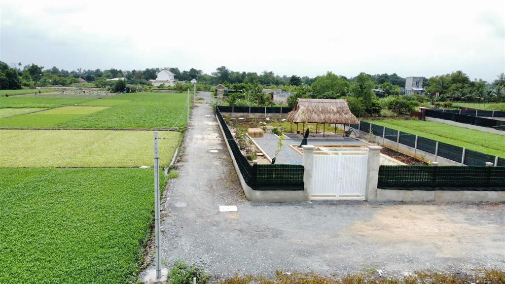 Bán nhà vườn 1000m2, 4,1 tỷ tại kênh nhà vuông, xã bình mỹ, huyện củ chi, tp.hcm